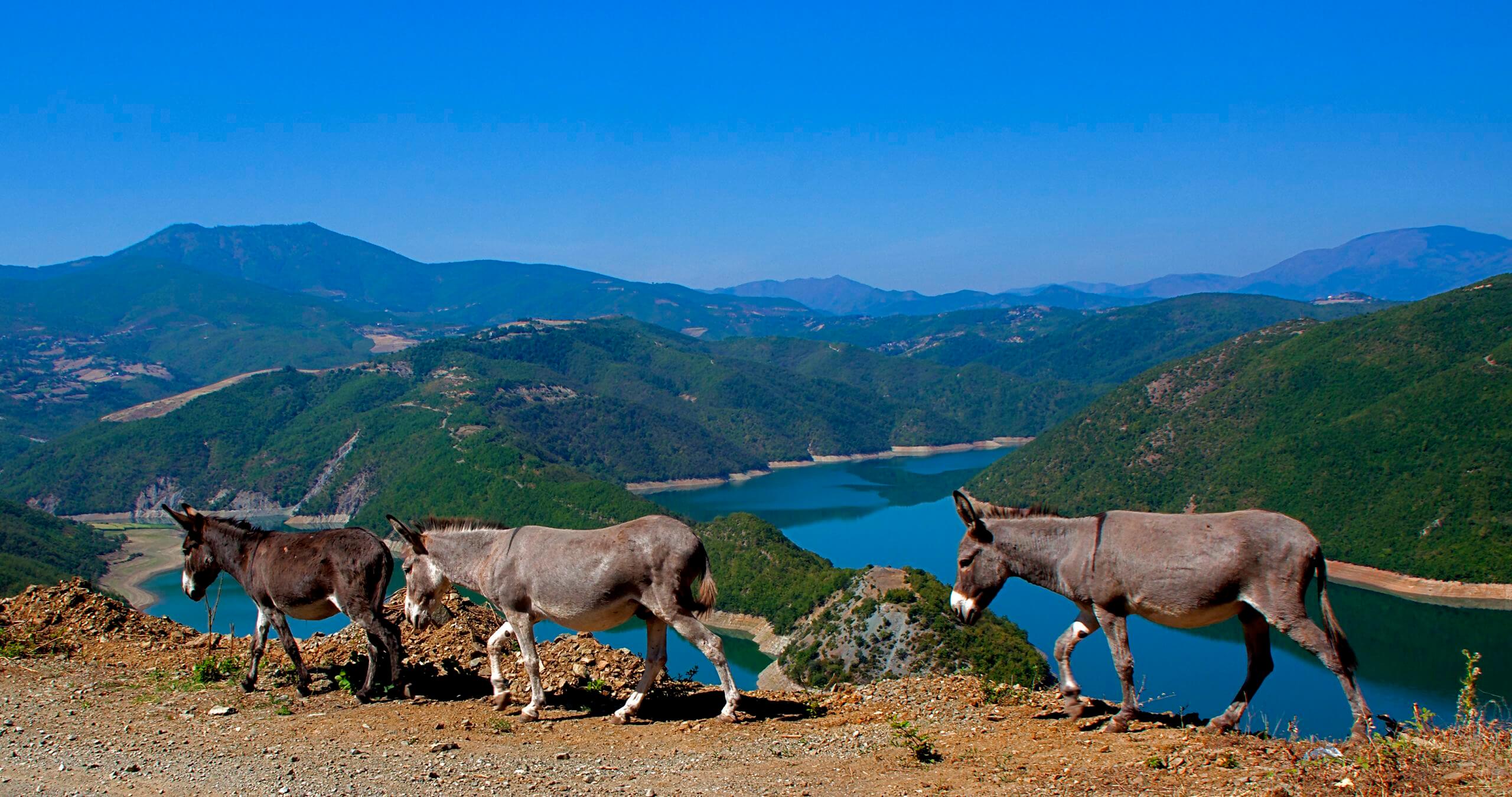 Lielā Balkānu tūre